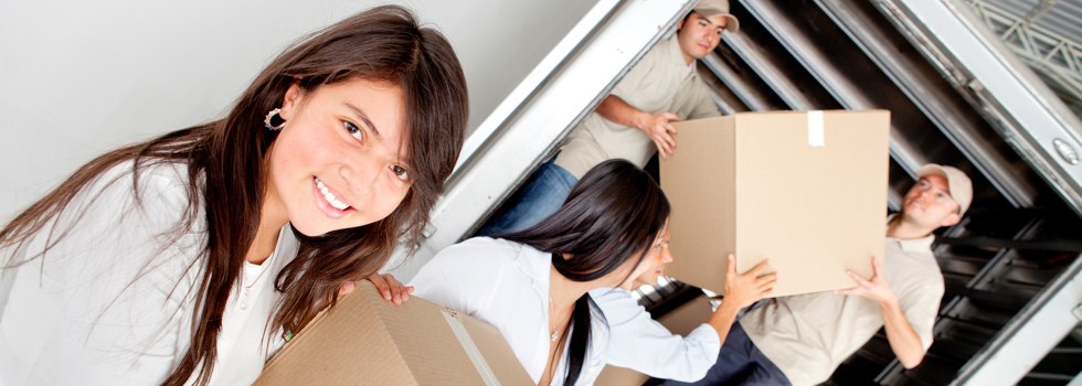 Professional Removalists Caves Beach